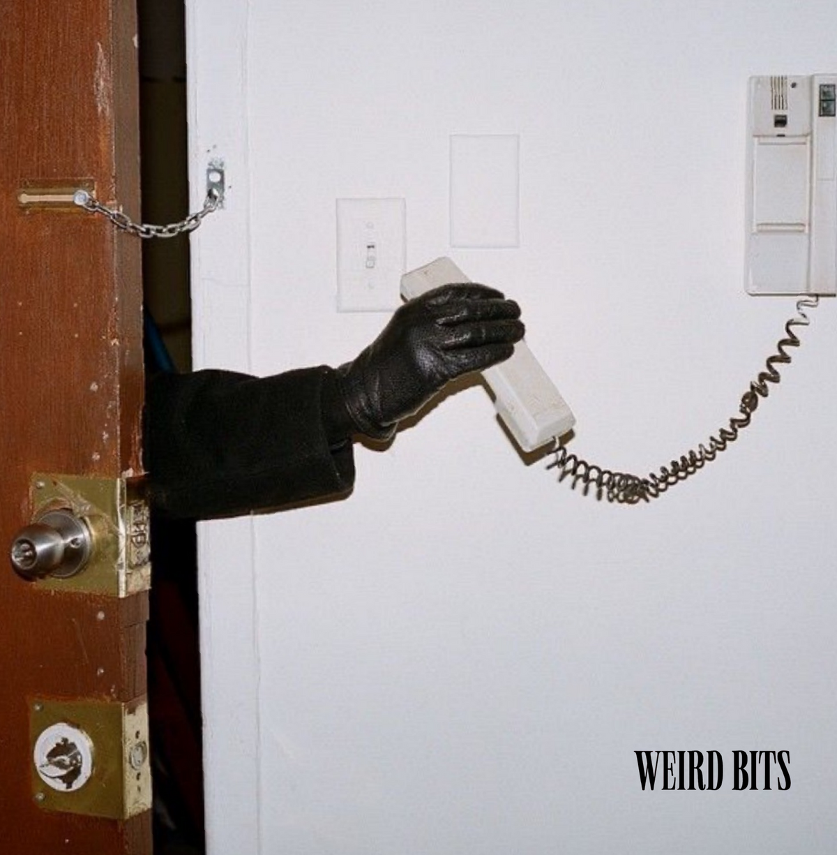Gloved hand on an intercom beside a Weird Bits poster